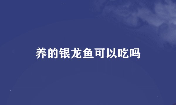 养的银龙鱼可以吃吗