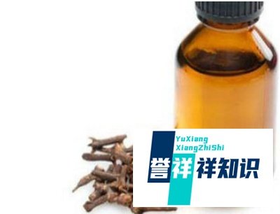 丁香油的制做方法