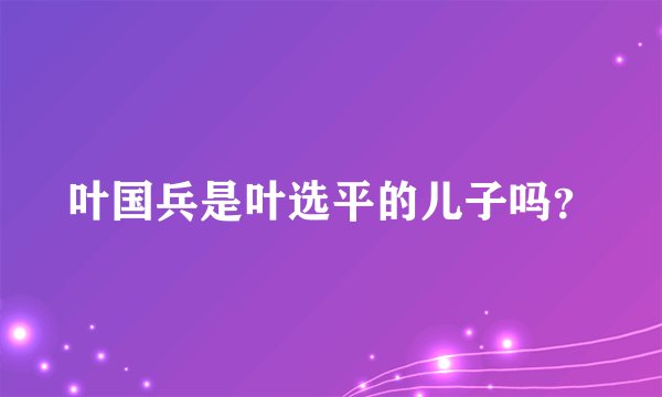 叶国兵是叶选平的儿子吗？