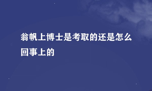 翁帆上博士是考取的还是怎么回事上的