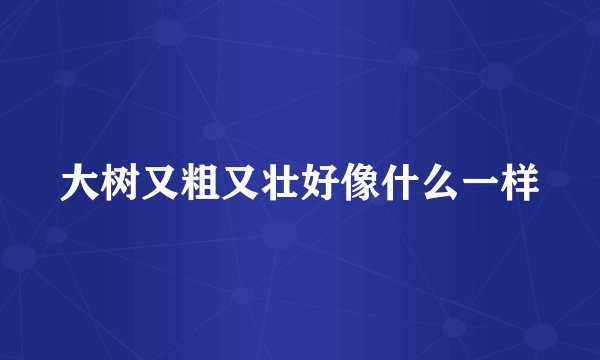大树又粗又壮好像什么一样