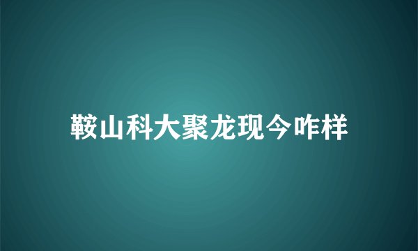 鞍山科大聚龙现今咋样