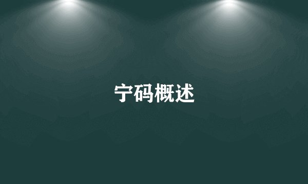 宁码概述