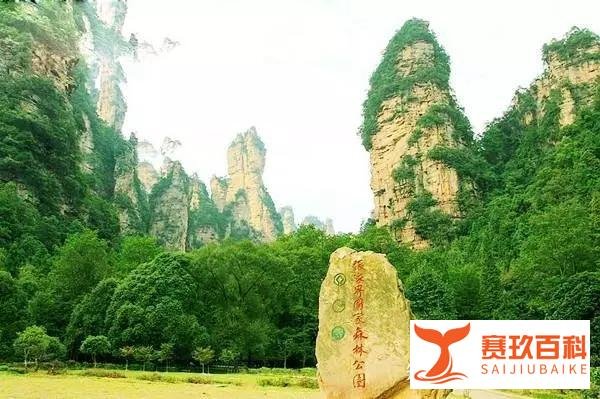 张家界一般游玩几天比较好呢?