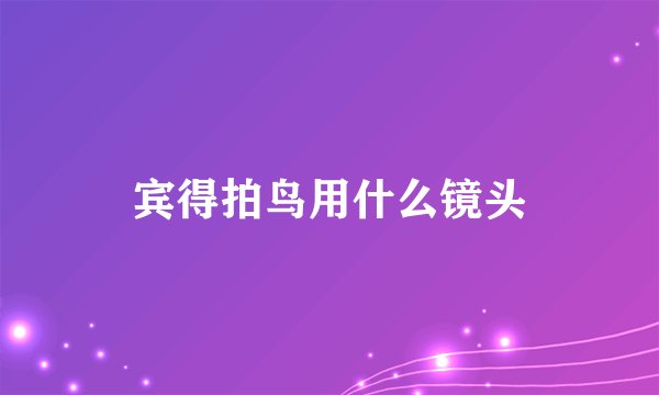 宾得拍鸟用什么镜头