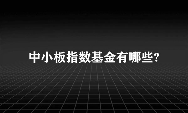 中小板指数基金有哪些?
