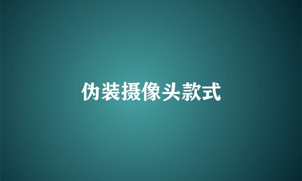 伪装摄像头款式