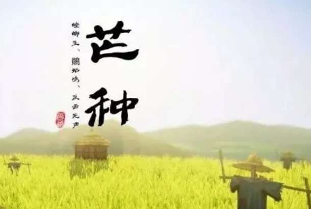 2020最火网红歌曲