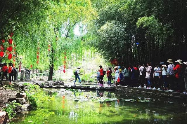 端午假期有超6成的游客省内游,这些人为什么会选择省内游?