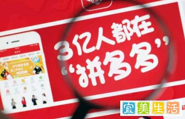 下一个拼多多？社交电商黑马，疯狂烧钱的背后，如今却亏损16亿
