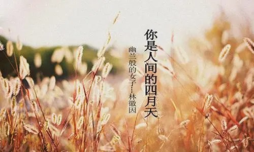最美人间四月天的经典名句
