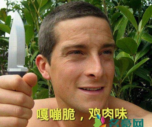 嘎嘣脆鸡肉味是什么梗什么意思 嘎嘣脆鸡肉味其他例句