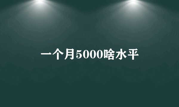 一个月5000啥水平