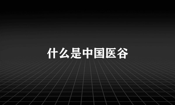 什么是中国医谷