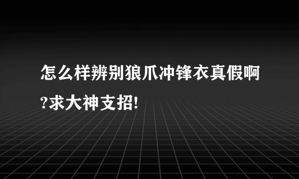 怎么样辨别狼爪冲锋衣真假啊?求大神支招!