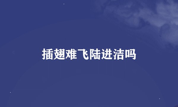 插翅难飞陆进洁吗