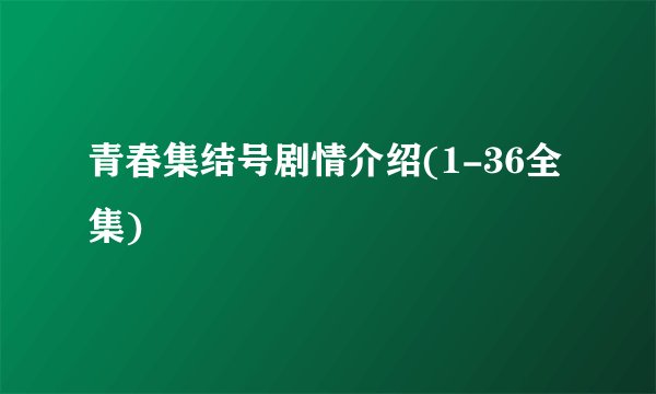 青春集结号剧情介绍(1-36全集)