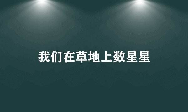 我们在草地上数星星