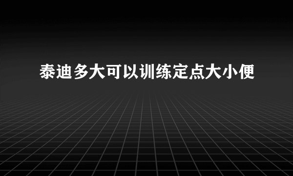 泰迪多大可以训练定点大小便