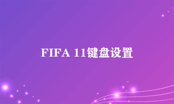 FIFA 11键盘设置