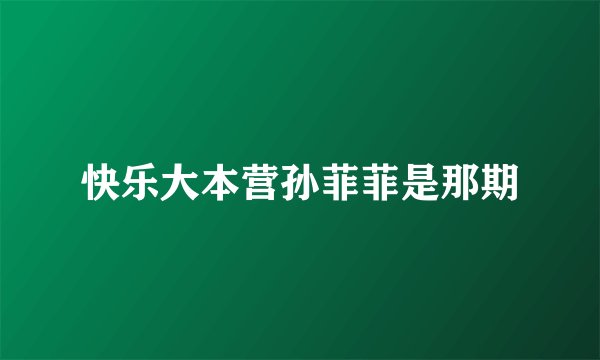 快乐大本营孙菲菲是那期