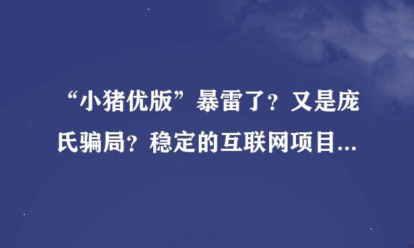 “小猪优版”暴雷了？又是庞氏骗局？稳定的互联网项目还存在吗？