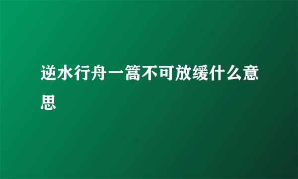 逆水行舟一篙不可放缓什么意思