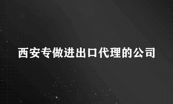 西安专做进出口代理的公司