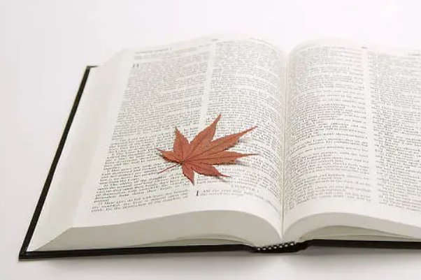 感恩一切美好的遇见的句子