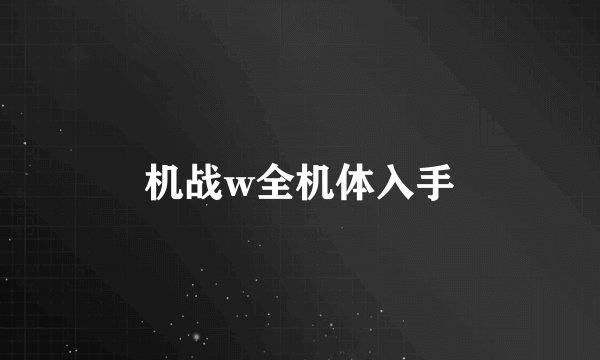 机战w全机体入手