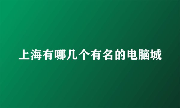 上海有哪几个有名的电脑城