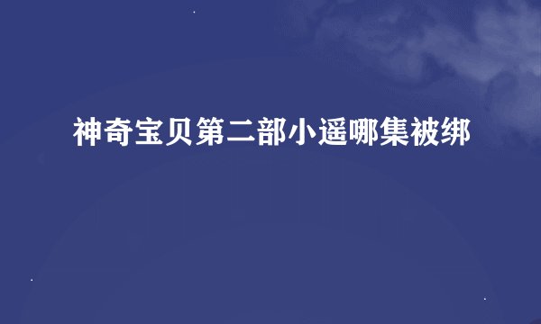 神奇宝贝第二部小遥哪集被绑