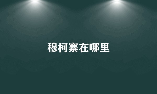穆柯寨在哪里