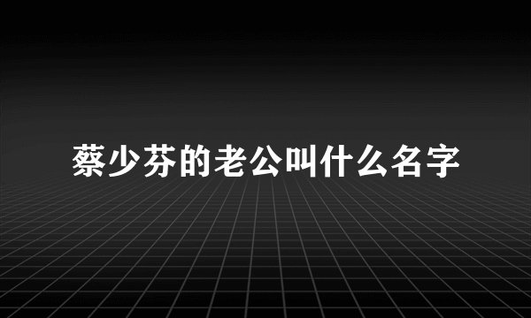 蔡少芬的老公叫什么名字