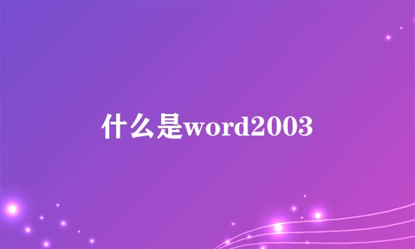 什么是word2003