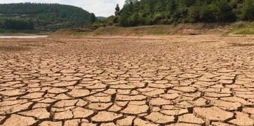 湖南97个县市区特旱:鱼被晒成鱼干,如何珍惜水资源?