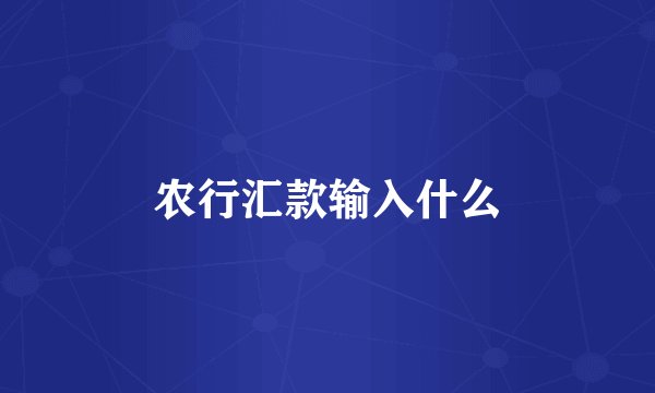 农行汇款输入什么