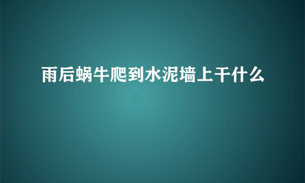 雨后蜗牛爬到水泥墙上干什么