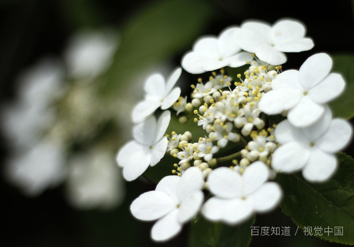 大学生天天在图书馆读书，真的有用吗？不会浪费时间吗?