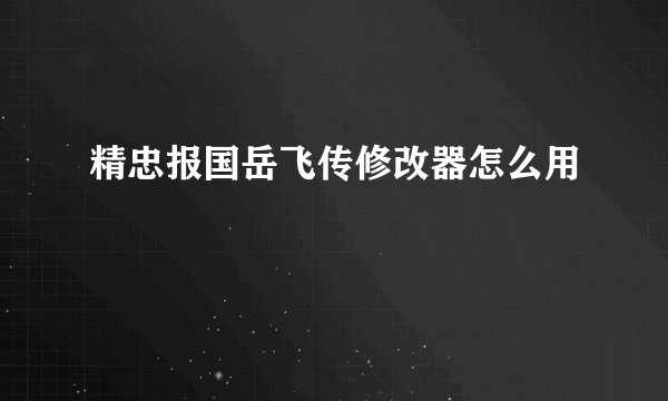 精忠报国岳飞传修改器怎么用