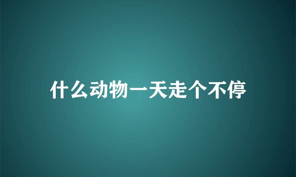 什么动物一天走个不停