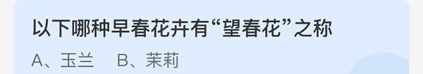 蚂蚁庄园2024.4.8：有“望春花”之称的花卉是