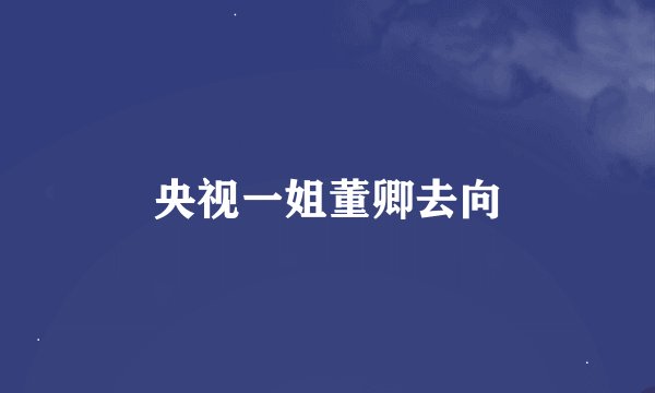 央视一姐董卿去向