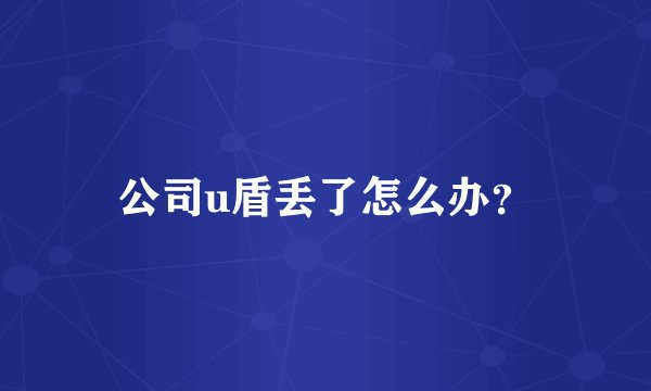 公司u盾丢了怎么办？