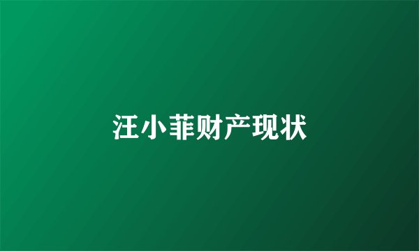 汪小菲财产现状