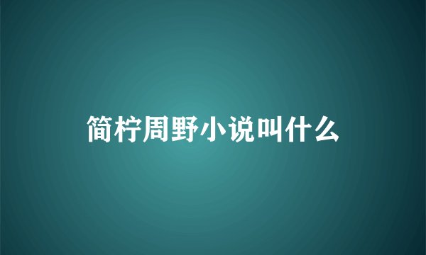 简柠周野小说叫什么