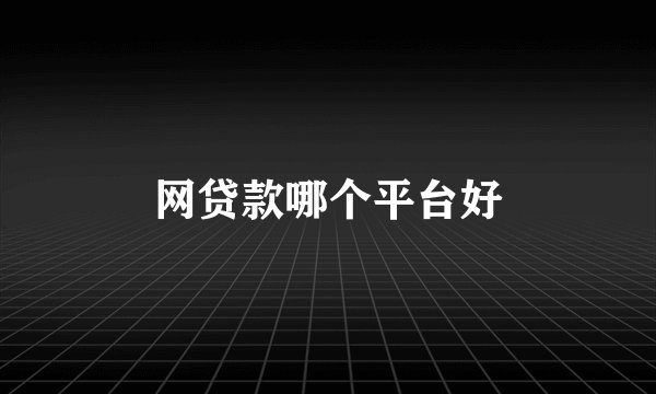 网贷款哪个平台好