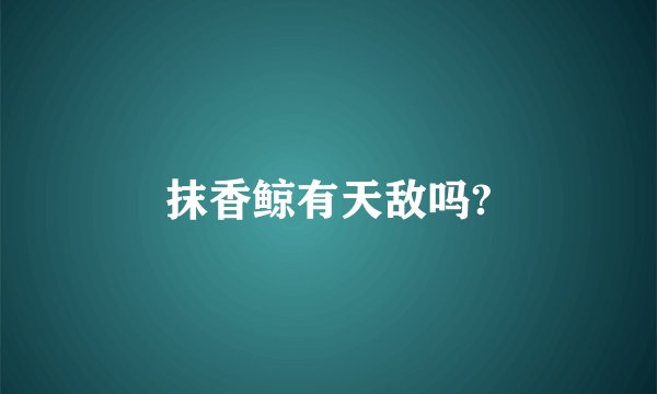 抹香鲸有天敌吗?