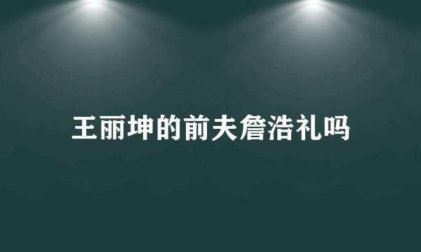 王丽坤的前夫詹浩礼吗