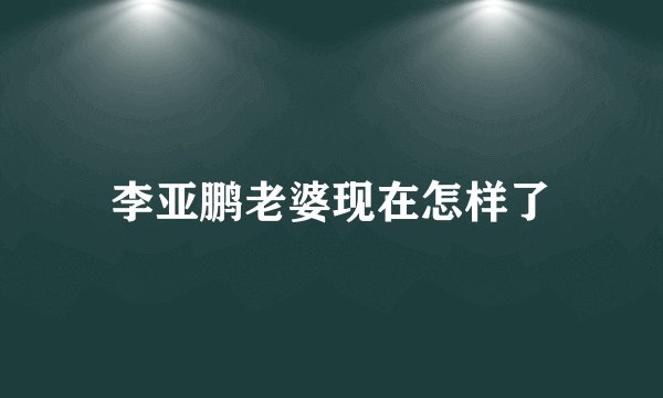 李亚鹏老婆现在怎样了